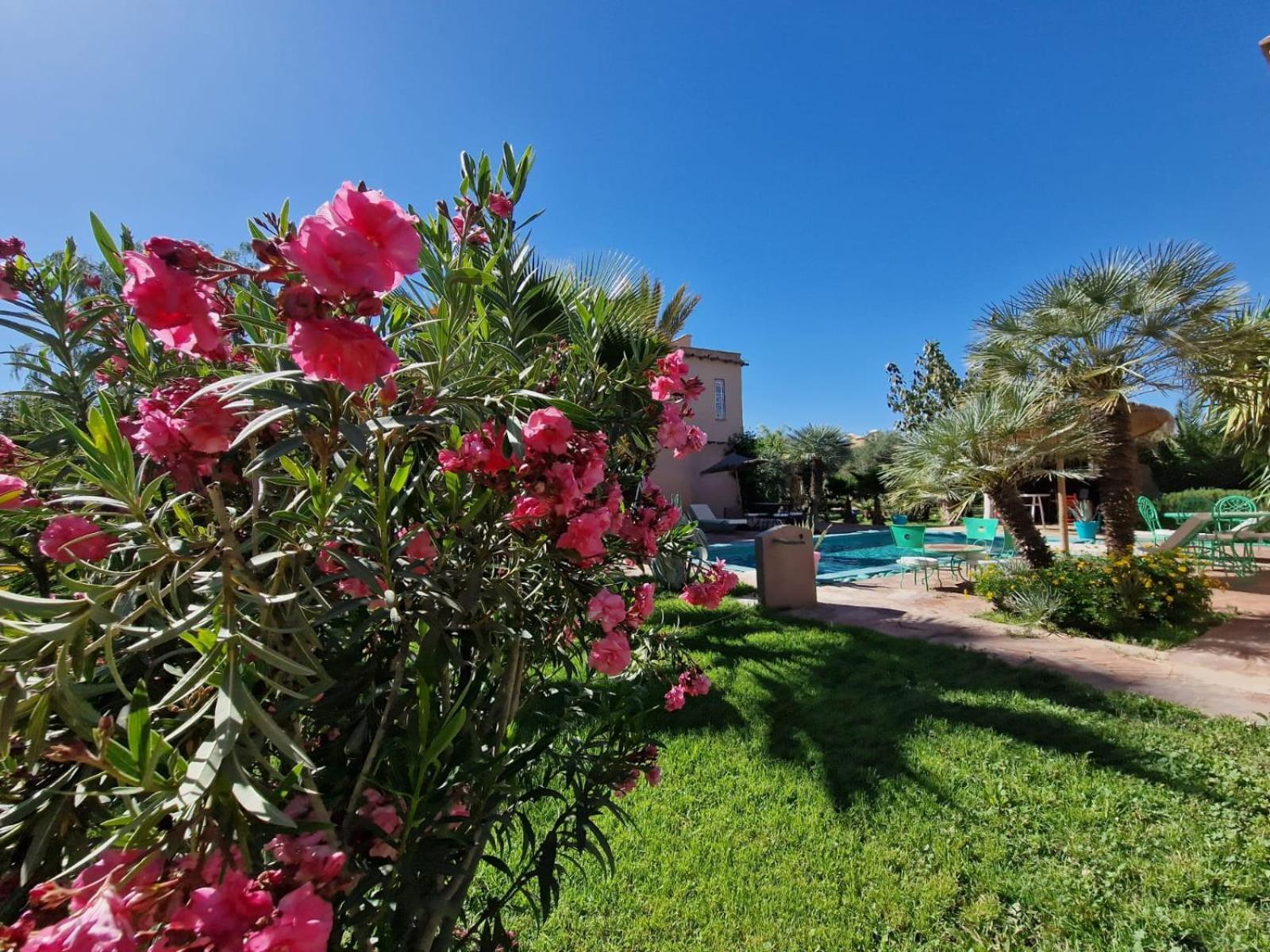 Manzal Lahbab, 2Villas 2Bungalows 2Piscines Et Jardins Ouled Jelal Ngoại thất bức ảnh